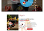 design and redesign responsive wordpress website, blog or website development